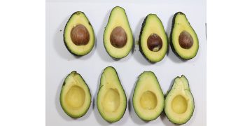 Westfalia Fruit and AgroSustain Advance Sustainable Innovation in Avocado Supply Chain
