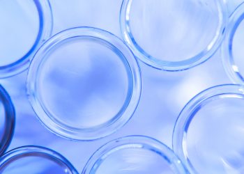 IFF and BASF Announce Strategic Collaboration to Drive Next-Generation Enzyme and Polymer Innovation