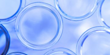IFF and BASF Announce Strategic Collaboration to Drive Next-Generation Enzyme and Polymer Innovation