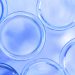 IFF and BASF Announce Strategic Collaboration to Drive Next-Generation Enzyme and Polymer Innovation